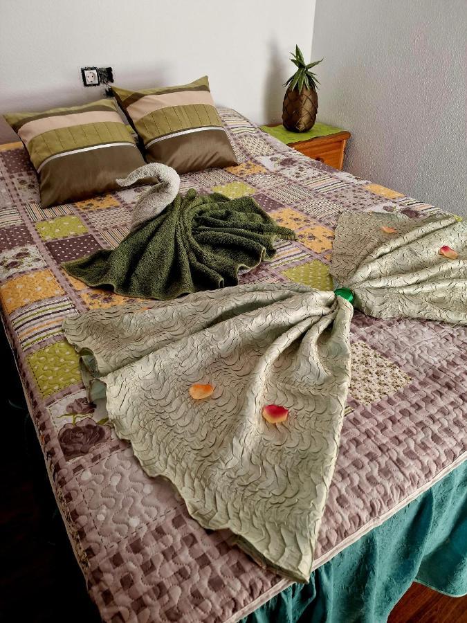 Apartament Carmen Torrevieja Bagian luar foto