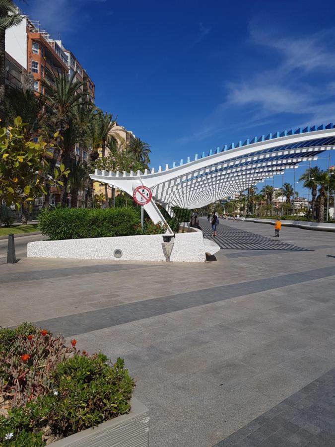 Apartament Carmen Torrevieja Bagian luar foto